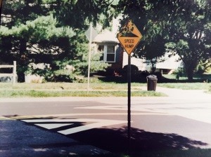 Speed Bump Sign