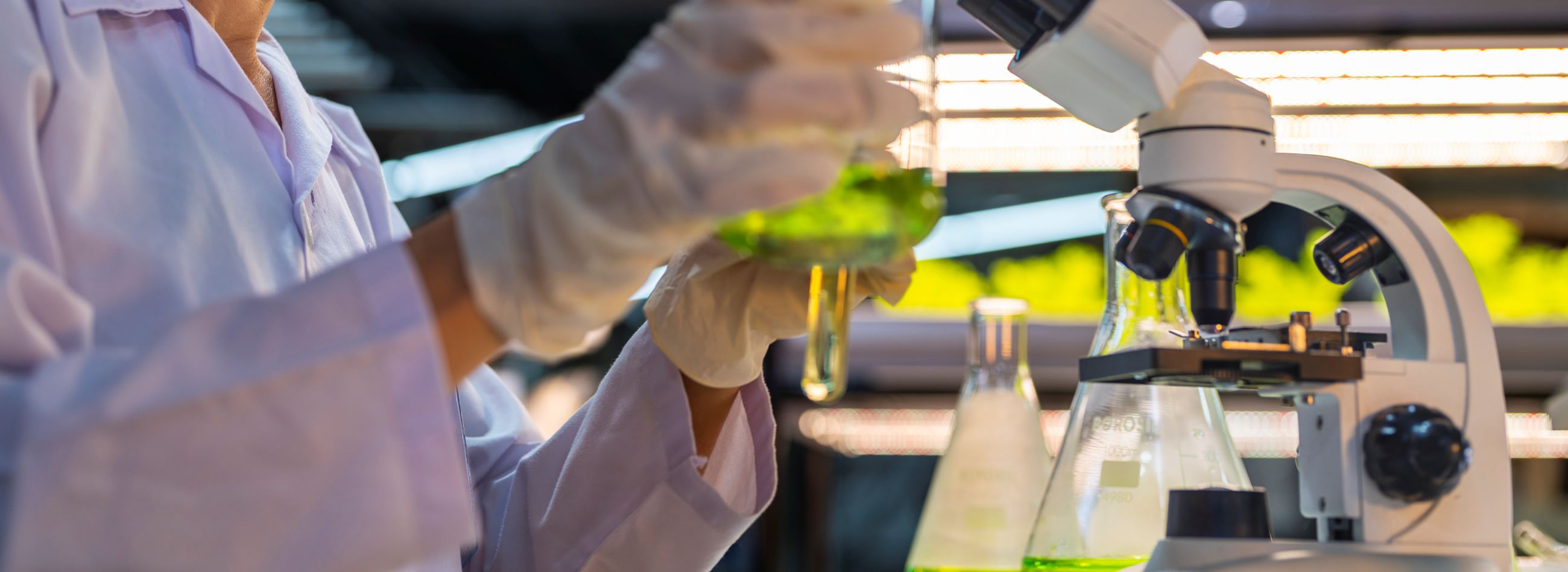 Algae Biomanufacturing