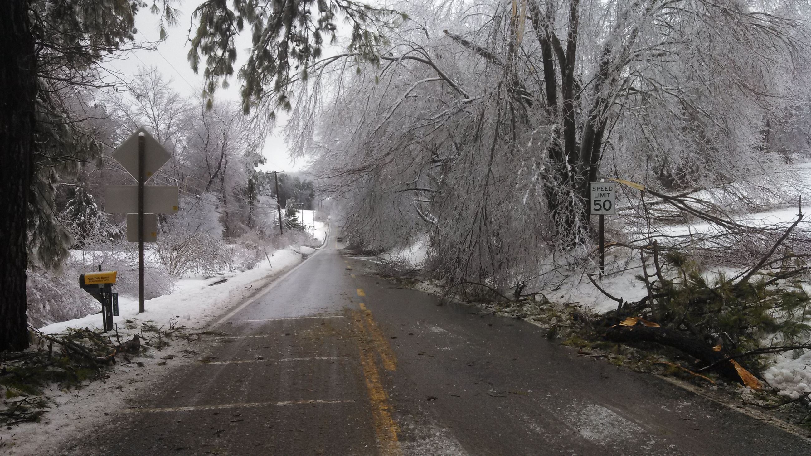 Winter and Ice Event Feb 2014 (2)