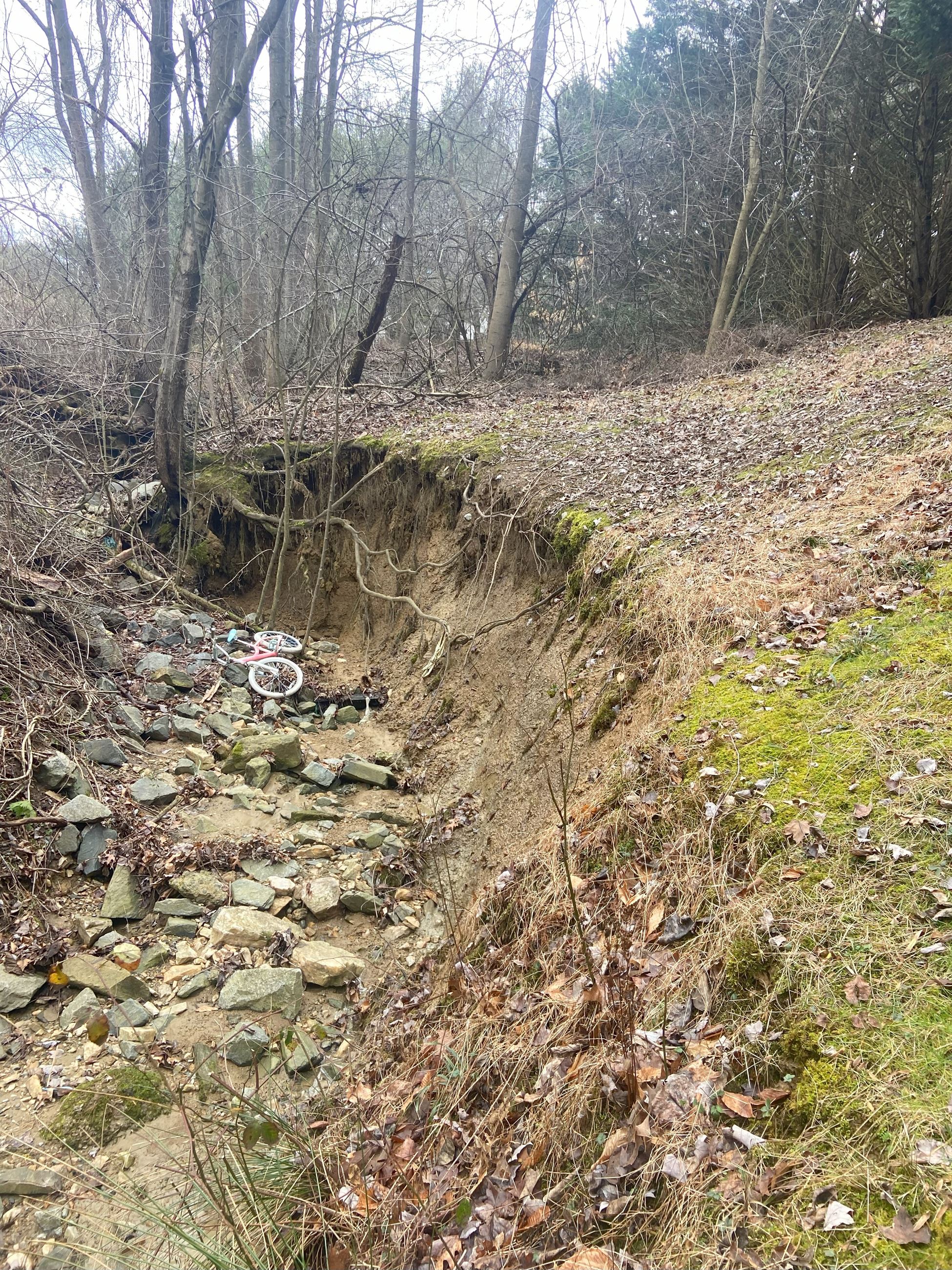 20230126_162129768_iOS